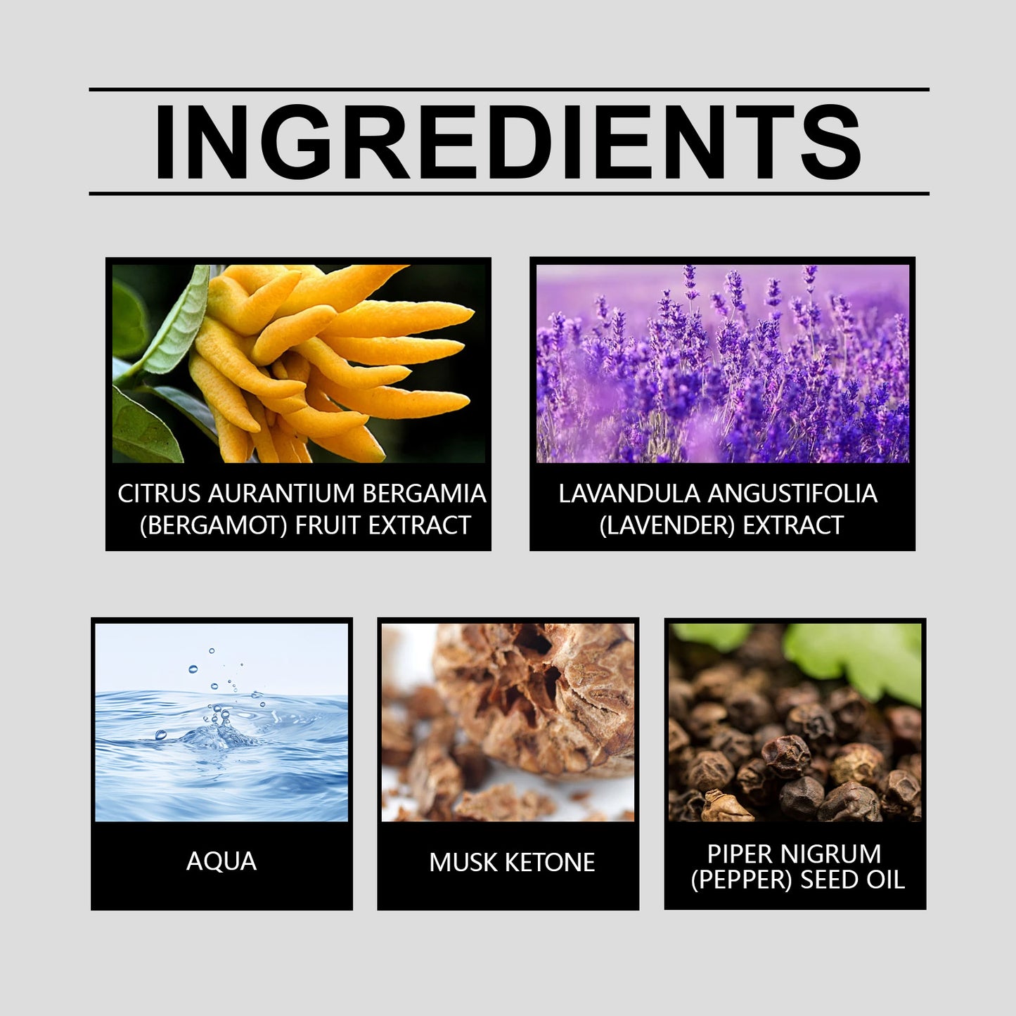 Fragrance Men Fresh And Natural Exudes Charm Niche Fragrance