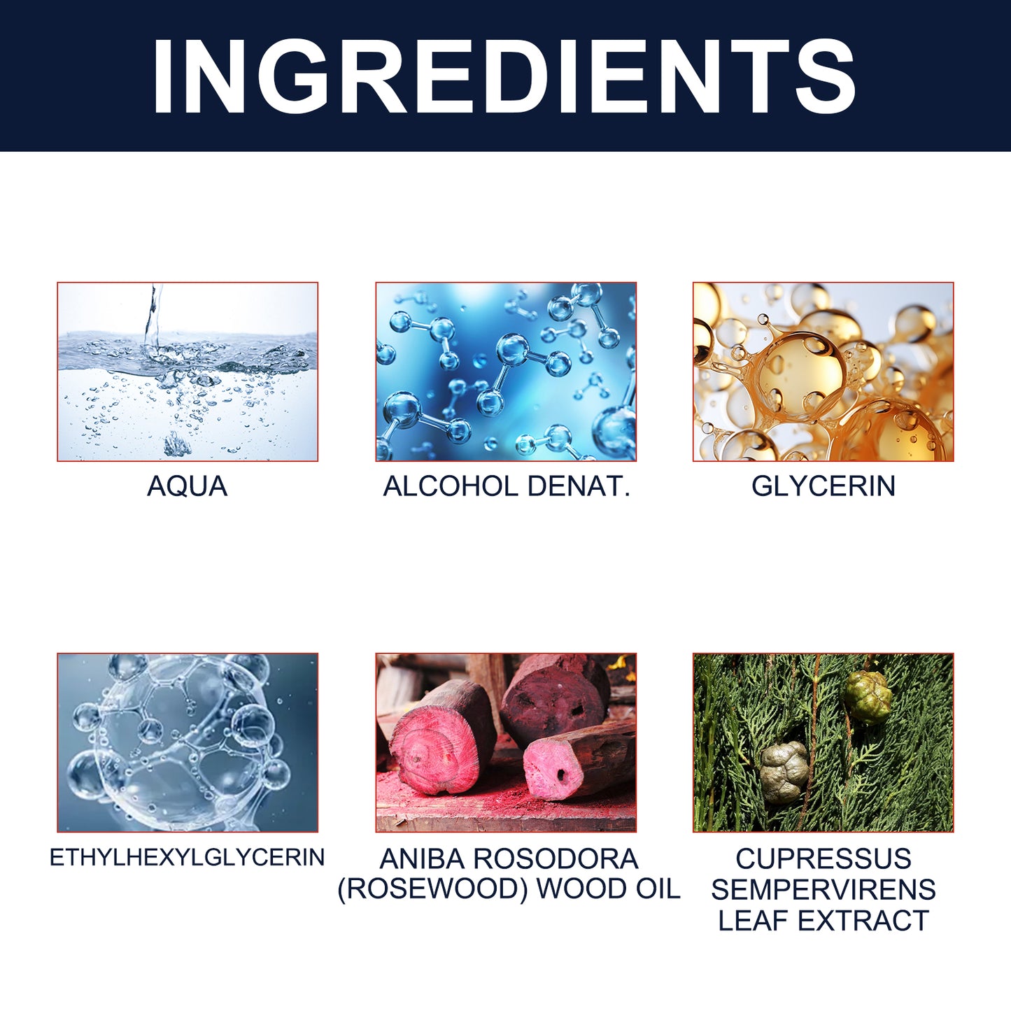 Men's Cologne Fresh Natural Elegant Lasting Fragrance