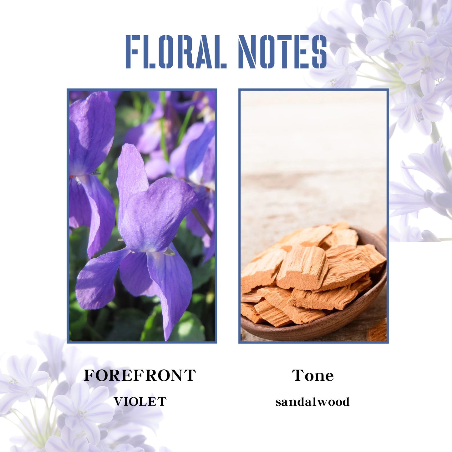 Fresh Light Fragrance Behind Ears And Wrist Lasting Charm Perfume