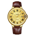 Tevise Brand New Luxury Business Casual Men Mechanical Watch Waterproof Stainless Steel Automatic Mechanical Watch