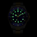 Orologio da polso sportivo meccanico automatico classico da uomo di lusso PAULAREIS