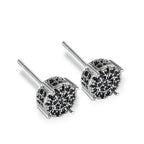 Women's Fashion Gymnus Earrings