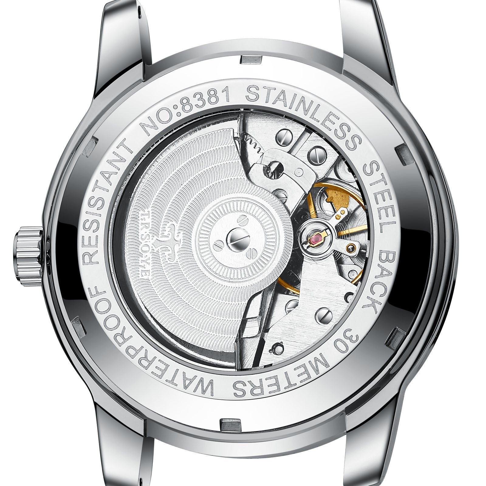 TRSOYE D06 Orologio Automatico Impermeabile da Uomo, Business Casual