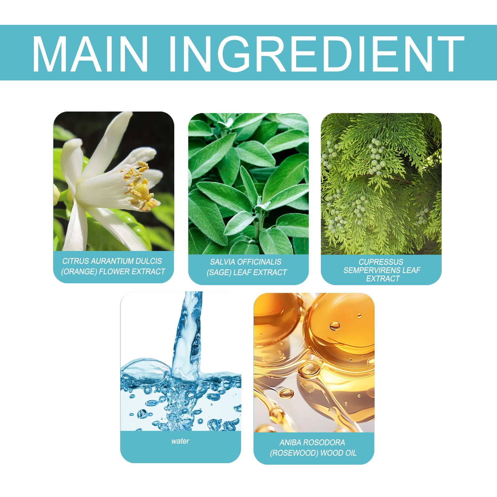 Charm Parfum Release Charm Mild Fris Licht Geur Niche Natuurlijk Draagbaar Langdurig Parfum