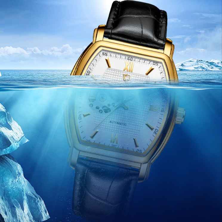 Orologio Automatico Casual da Uomo