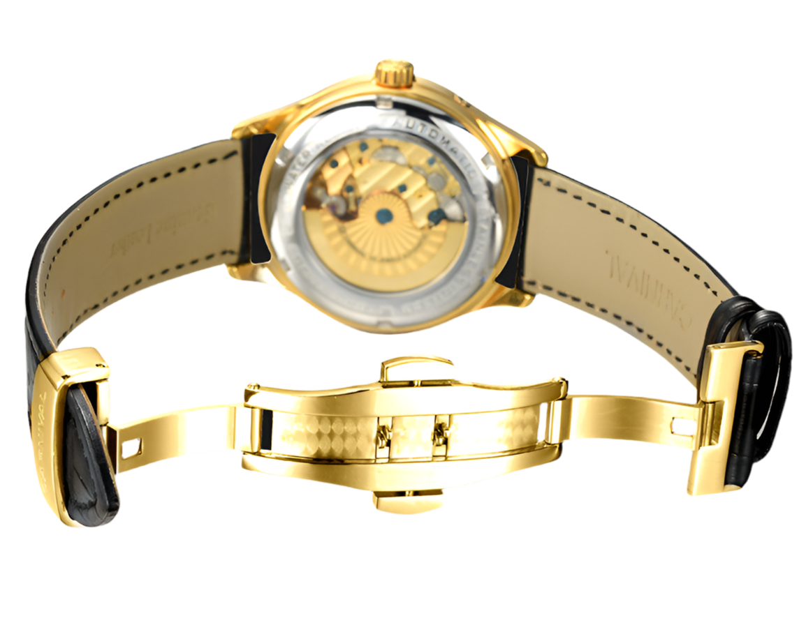 Luxury brand Men Wrist watch Men Unique Design Style Automatic Mechanical Watches Switzerland Carnival Famous Brand Fashionable Carnival Watches Full Automatic Mechanical Watches - Acquisti Online