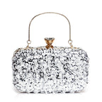 Women Luxury Handbag with Sequins Party Dinner Handbag Ladies Night Bag with Chain Women Banquet Clutch Bag