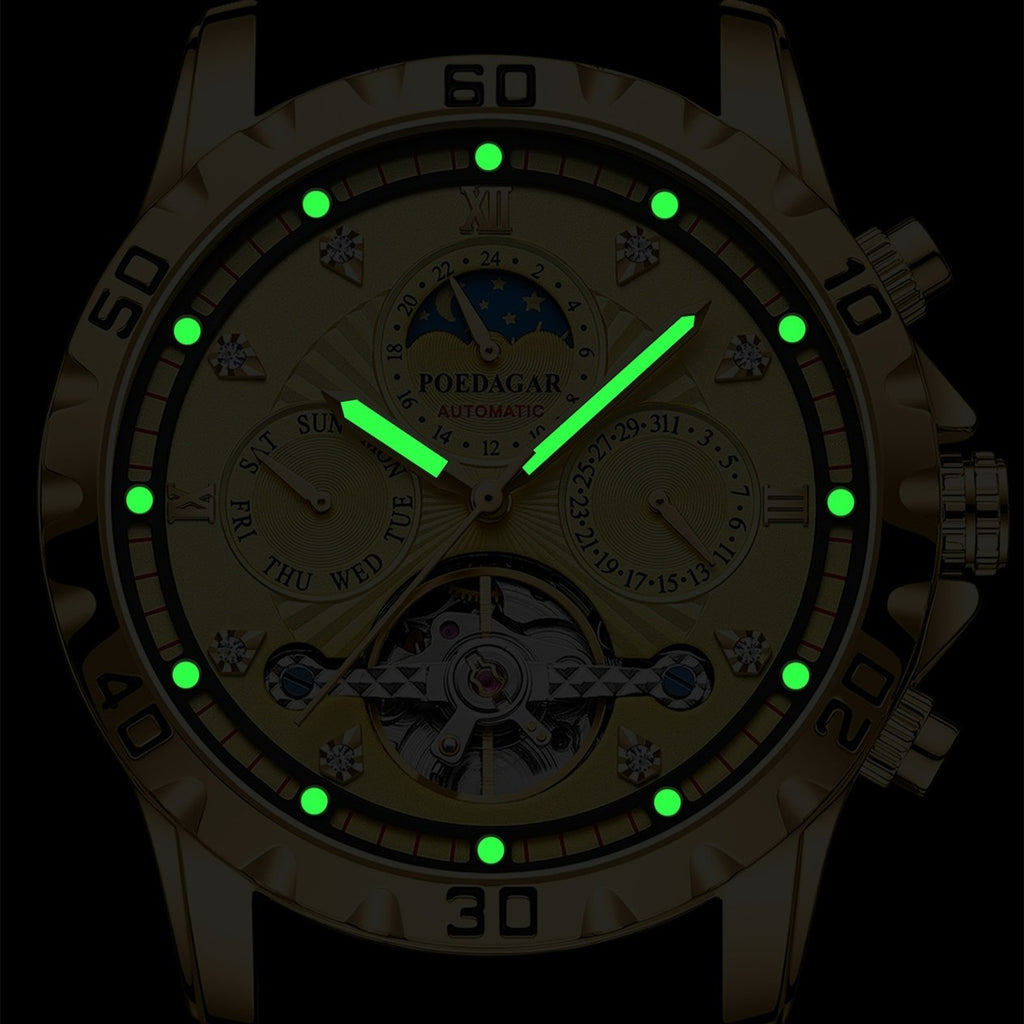 POEDAGAR Man Luxury Automatic Tourbillon Waterproof Steel Band Watch - Acquisti Online