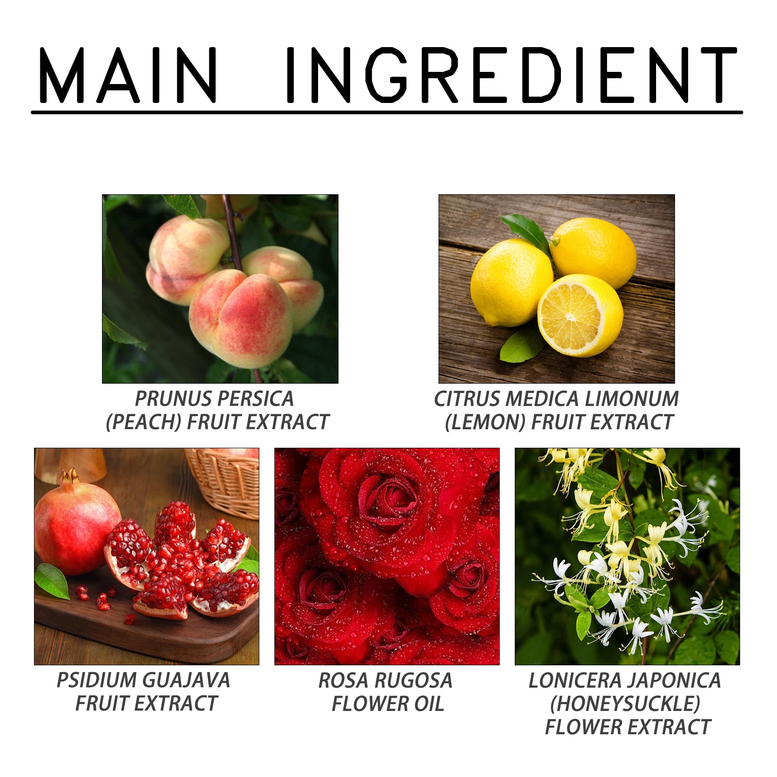 Aantrekkelijke geuren, langdurige geuren, nicheparfums