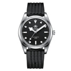 Orologio subacqueo automatico da uomo ADDIESDIVE, orologio meccanico di lusso di alta gamma