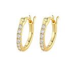 925 Silver Earrings European And American Ins Style Niche