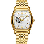 Men's Mechanical Waterproof Business Clock Luxury Skeleton Automatic Mechanical Wristwatches for Men