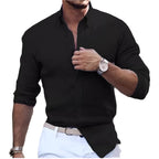 Katoenen linnen overhemd met lange mouwen, effen kleur, polokraag, casual stijl, herenoverhemd