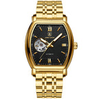 Men's Mechanical Waterproof Business Clock Luxury Skeleton Automatic Mechanical Wristwatches for Men