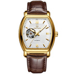 Men's Mechanical Waterproof Business Clock Luxury Skeleton Automatic Mechanical Wristwatches for Men