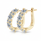 Women's Luxury Earring Round Moissanite Moissanite 925 Sterling Silver Earring Eardrop High-grade Hoop Women Earrings