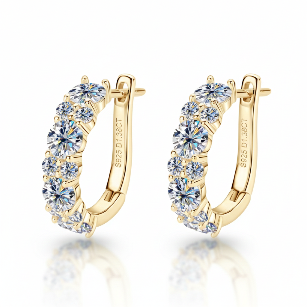 Women's Luxury Earring Round Moissanite Moissanite 925 Sterling Silver Earring Eardrop High-grade Hoop Women Earrings