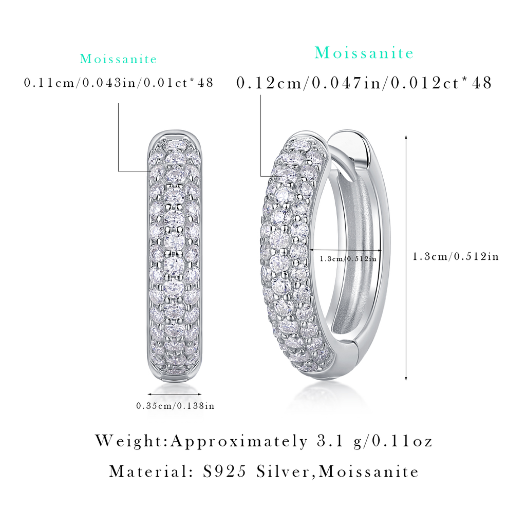 Women's Luxury Earring S925 Sterling Silver Moissanite Diamond Earrings Hip Hoop Stud High End Fashion Women Earrings
