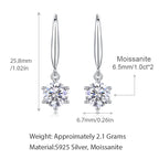 Women Luxury Earring  925 Sterling Silver Moissanite Diamond Silver Earrings Hip Hoop Stud Women Silver Earrings