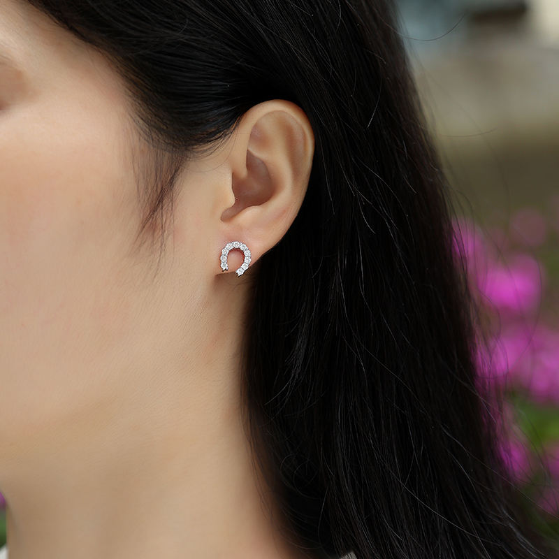 Women Luxury Earrings Moissanite Diamond 925 Sterling Silver Earrings Hig Quality Hip Hoop Stud Fashion Women Earrings