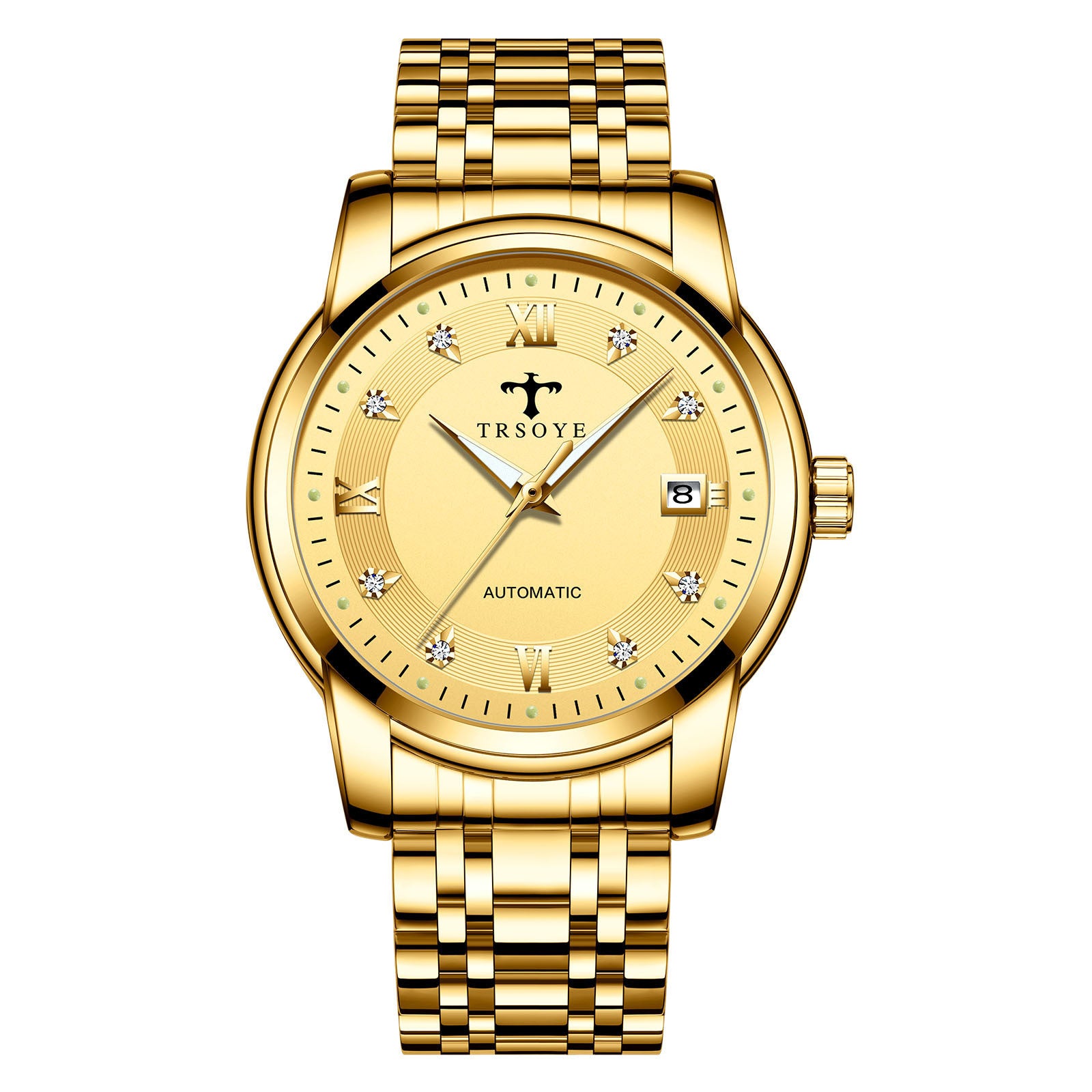 TRSOYE D06 Orologio Automatico Impermeabile da Uomo, Business Casual