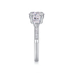 Large Diamond Ring Luxury Fashion Set Moissanite Silver Ring