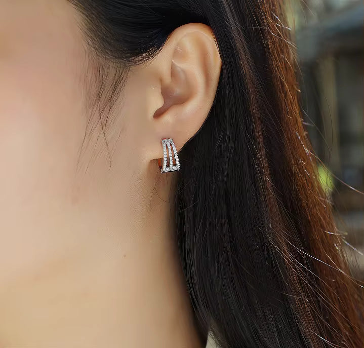 Women Luxury Earring 925 Sterling Silver Moissanite Diamond Loop Earrings Earrings Stud Inlaid High Quality Earrings