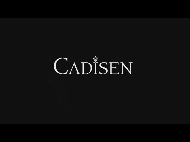 CADISEN Heren Automatisch Mechanisch Saffierkristal Waterdicht Horloge Heren Mechanisch Uurwerk Waterdicht Horloge