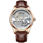 AILANG Hollow Transparent Automatic Mechanical Watch for Men Leather Strap Skeleton Men's Watch