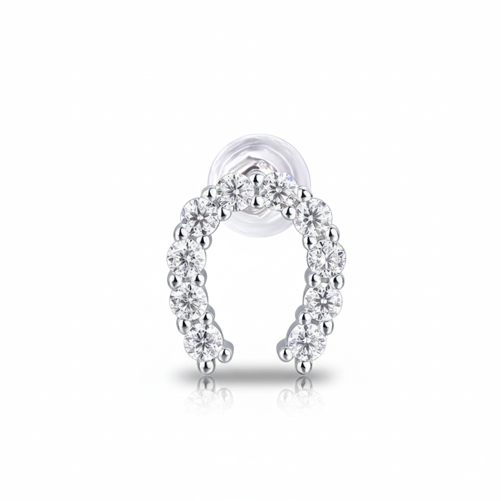 Women Luxury Earrings Moissanite Diamond 925 Sterling Silver Earrings Hig Quality Hip Hoop Stud Fashion Women Earrings
