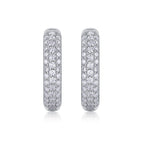 Women's Luxury Earring S925 Sterling Silver Moissanite Diamond Earrings Hip Hoop Stud High End Fashion Women Earrings