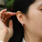 Women's Luxury Earring S925 Sterling Silver Moissanite Diamond Earrings Hip Hoop Stud High End Fashion Women Earrings