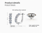 Women's Luxury Earring Round Moissanite Moissanite 925 Sterling Silver Earring Eardrop High-grade Hoop Women Earrings
